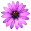 TextMate 2.0.6 / 1.5.11 for Mac