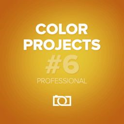 COLOR Professional Projects COLOR Projects Professional Icon
