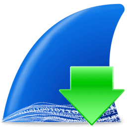 Icon of Wireshark Wireshark Icon